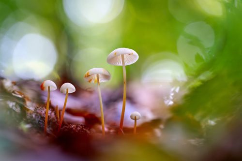Birgit und Jost Kühlborn
