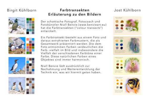 Übersicht / Erläuterung der Fotografien