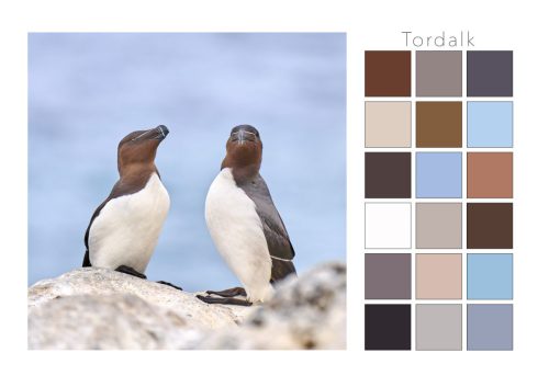 Tordalk