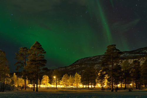 Sven Kisling - Camp Aurora