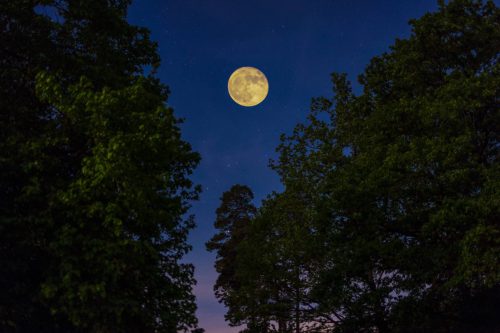 Udo Waigand - Mond