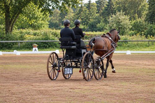 Champions are forever, ewidmet Jessica Wächter, die im März sehr tragisch ums Leben kam.