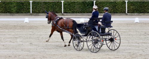 Anna Auberger Bundechampionat in Moritzburg