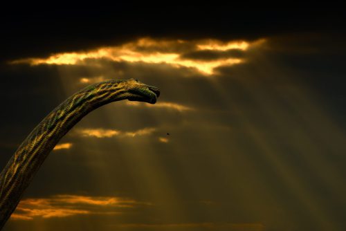 Diplodocus vor Abendhimmel