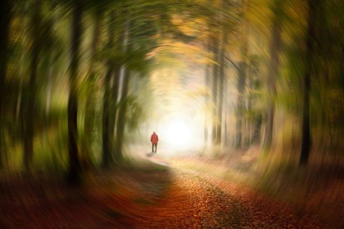 Der Weg ins Licht