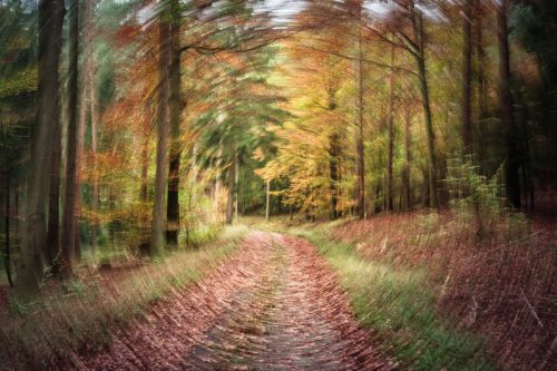 Herbstwirbel