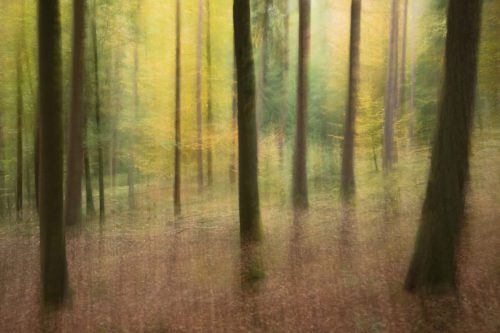 Märchenwald-ICM gewischt